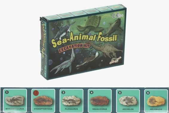 Sea Animal Fossil - Excavation Kit