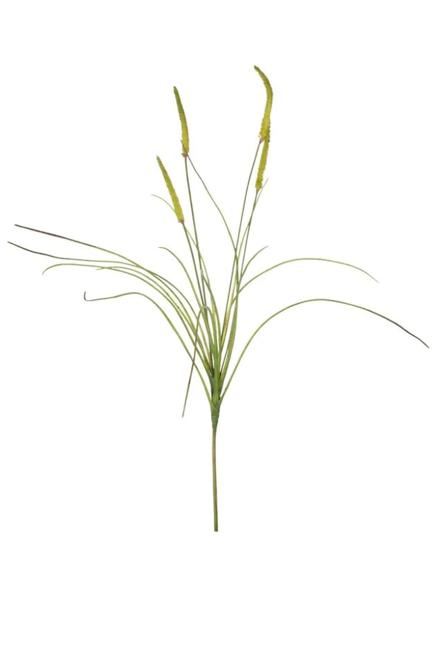 Flora græs H69 cm. grøn