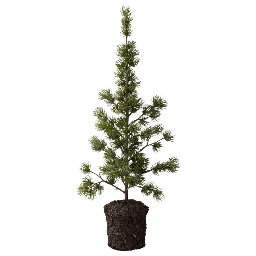 Lene bjerre Flora grantræ