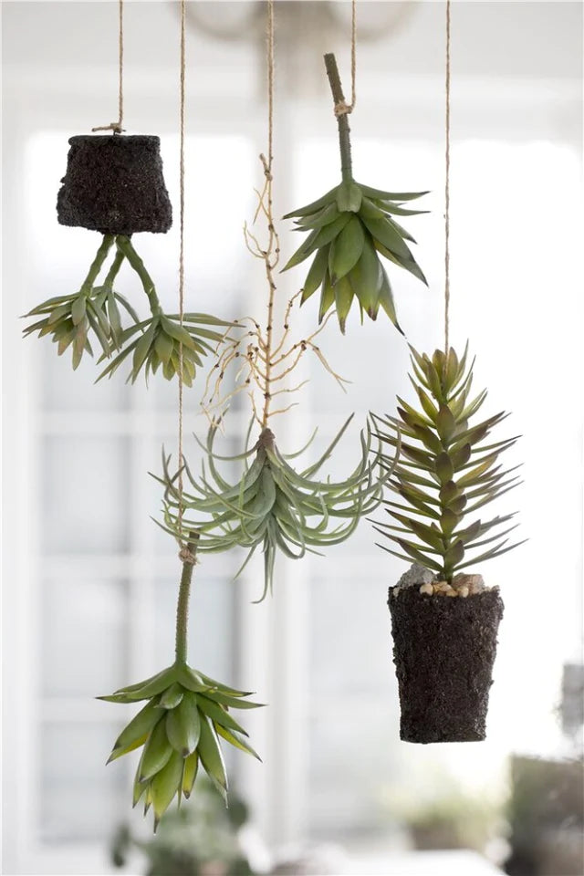 Flora luftplante H15 cm. grøn