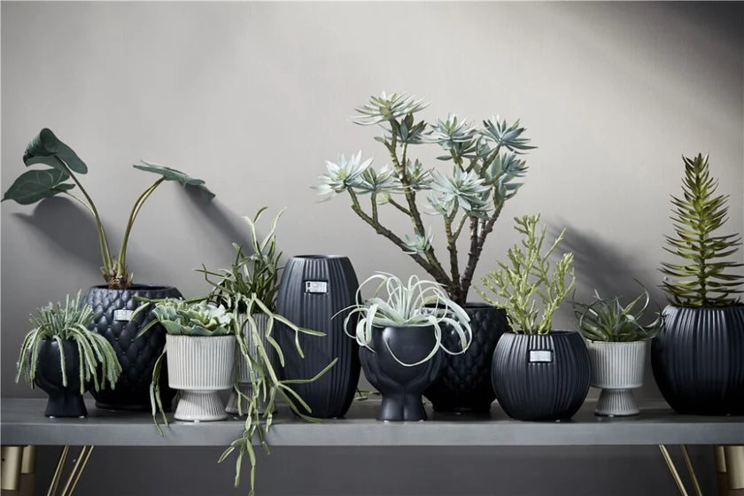 Haniya skjuler H16,5 cm. sort