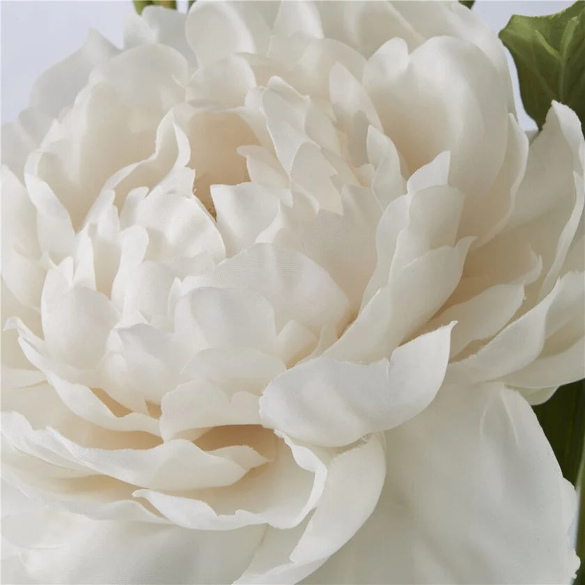 Flora pæon H66 cm. råhvid