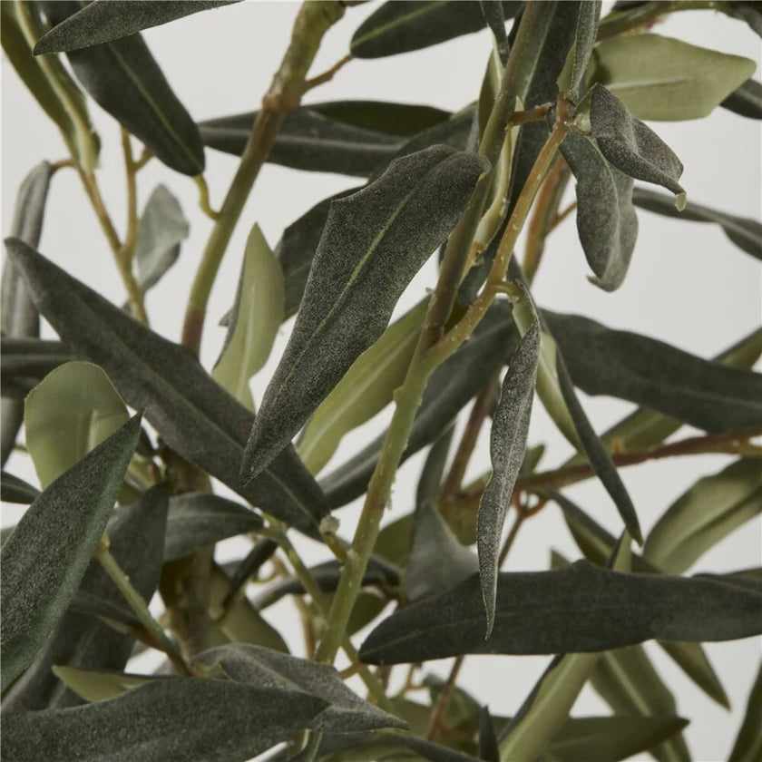 Flora pæon H66 cm. råhvid