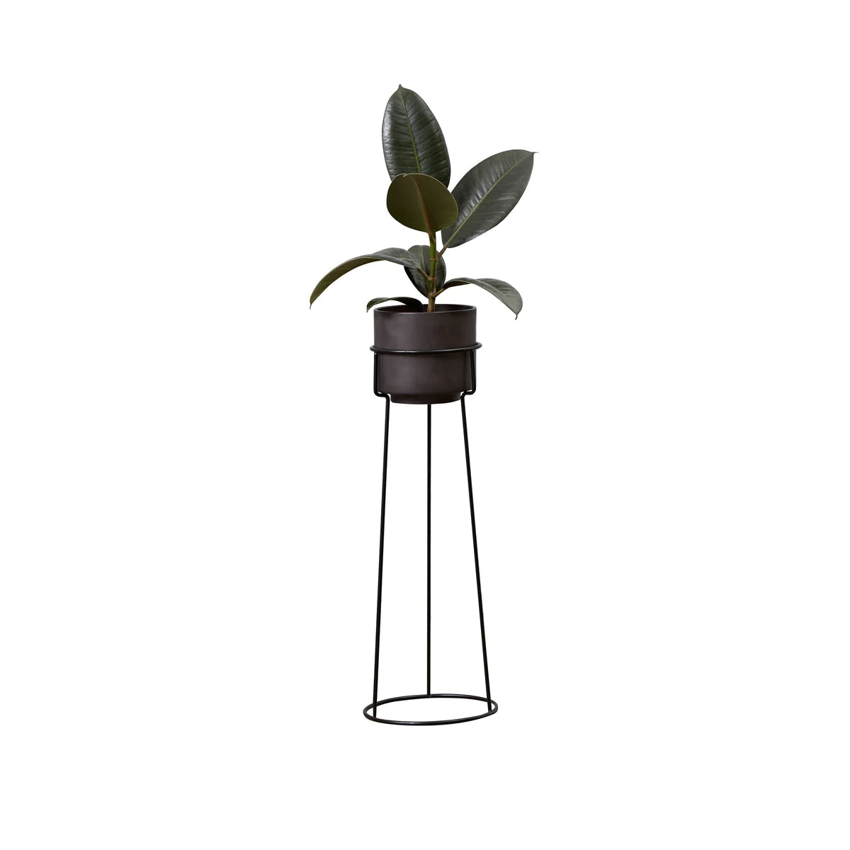 A Plant Blomster Opsats, H 48 Cm