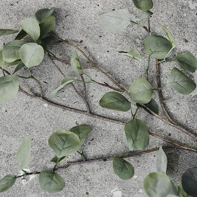 House Doctor Eucalyptus – Naturtro og stilet evighedsgren til hele året