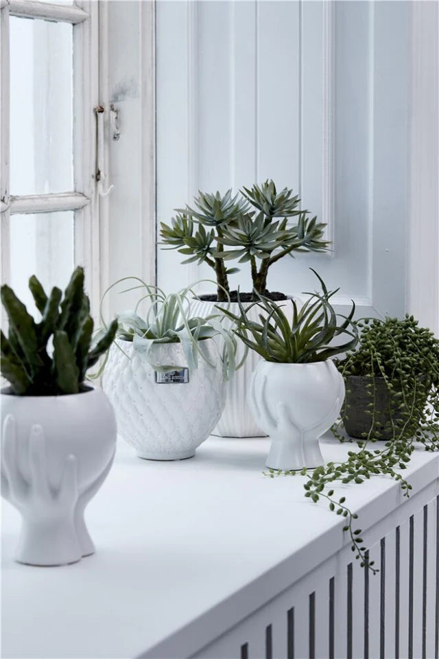 Lene Bjerre Rosabina skjuler H16 cm. hvid