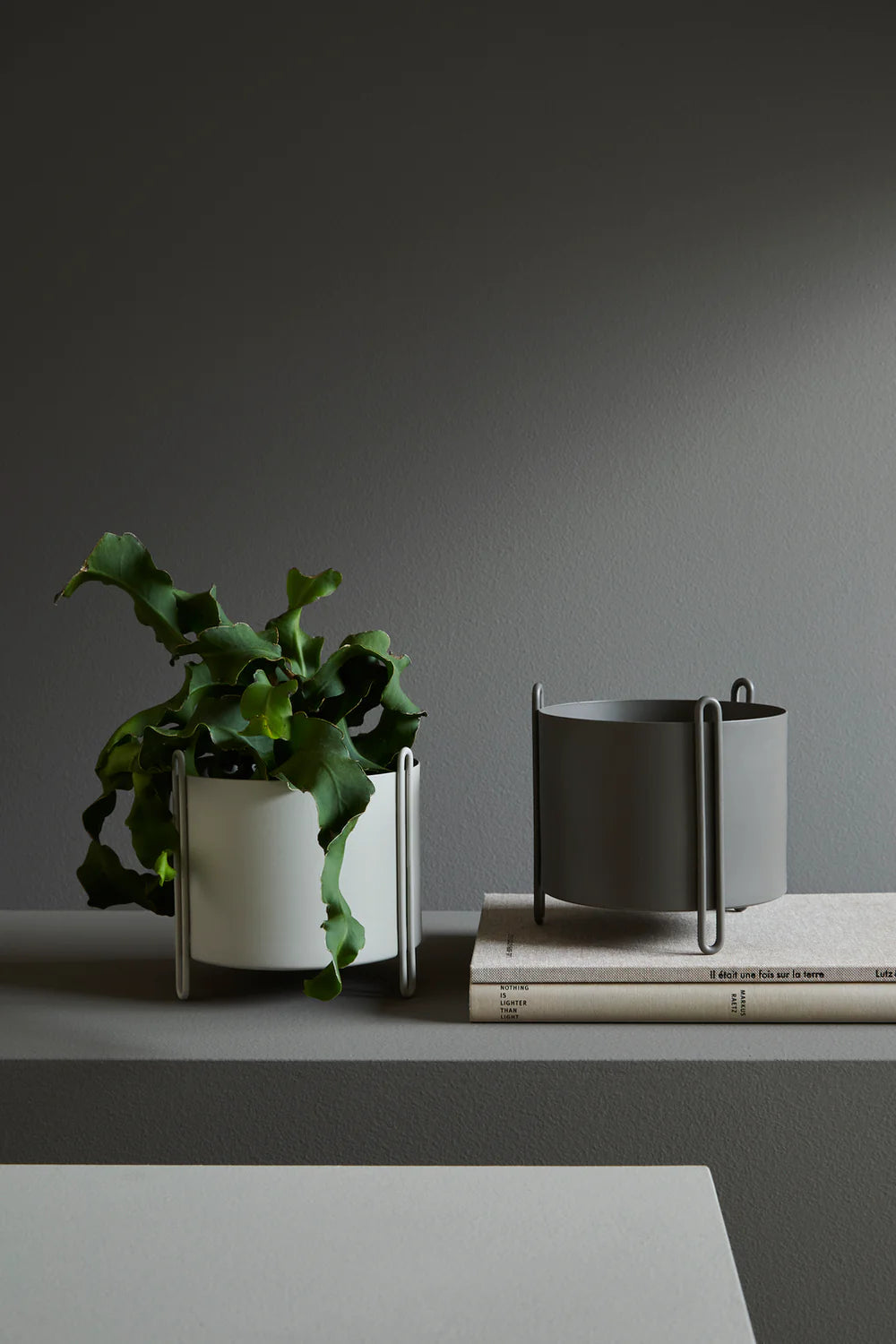 Woud Pidestall skjuler lille, taupe