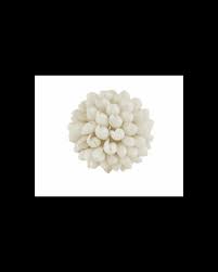 Shelia koral kugle 6.5 cm