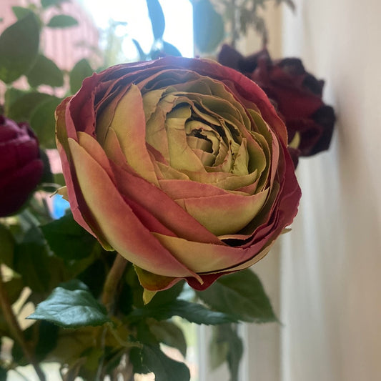 Flora 58cm bonderose