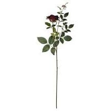 Flora 70cm rose