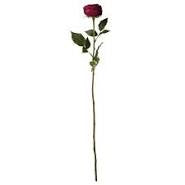 Flora 58cm rose