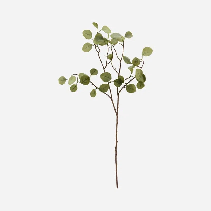 House Doctor Eucalyptus – Naturtro og stilet evighedsgren til hele året