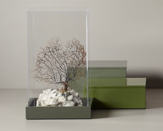 Plexi Dome Akrylkuppel – Passer til Mojoo 19x19 cm Bakker